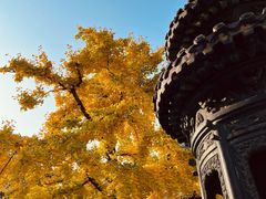 -龙华寺