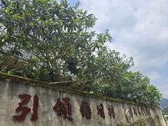 -新安江山水画廊风景区