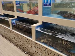 水产区-双井轩(双井店)