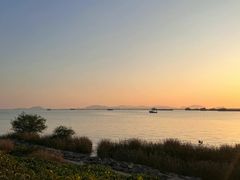 -芒洲湿地公园