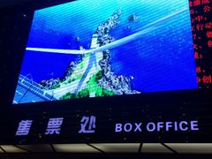 -武汉华夏国际影城(鲁广店)