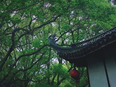 -上海醉白池公园