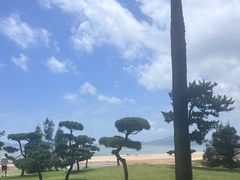 -普陀山风景区-佛顶山