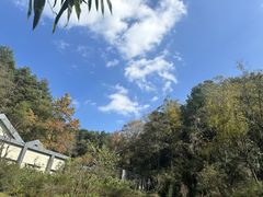-黔灵山公园