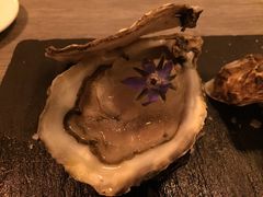 生蚝-翡翠36餐厅(浦东香格里拉店)
