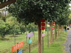 -前小桔亲子创意农场·草莓采摘·露营烧烤
