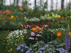 -上海共青森林公园