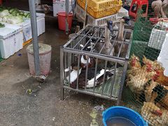 -永汉农贸综合市场
