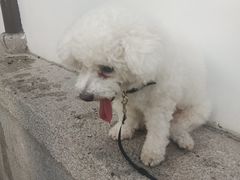 -衣裳街历史文化街区