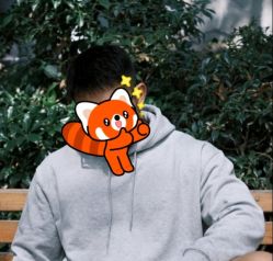 -和木形象