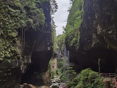 -鹿院坪生态旅游景区