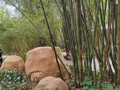 -晓港公园