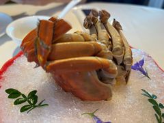 -上海总会SHANGHAICLUB(兴业太古汇店)