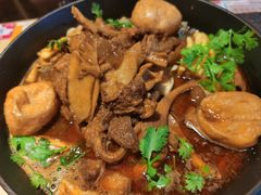 -牛腩之旅·牛腩牛杂煲(光启城美食城店)