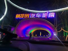 -枫花园汽车电影院(朝阳公园店)