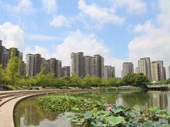 -新江湾城公园