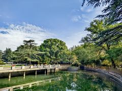 -上海市龙华烈士陵园