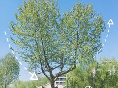 -晓庄学院-食堂