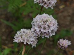 -北京植物园-展览温室