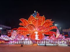 -淄博花灯齐彩城