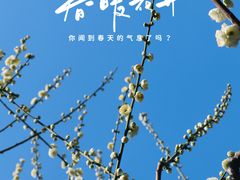 -静安雕塑公园