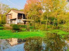 -西溪国家湿地公园