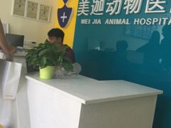 -美迦爱-牙专科·兔科·骨科诊疗中心(北苑店)