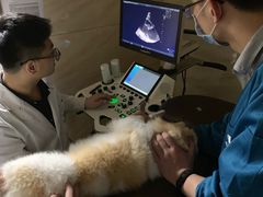 -安安宠医·安宠宠物医院