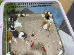 -meland亲子乐园•派对•研学(苏州悠方购物中心店)