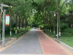 -大兴滨河森林公园