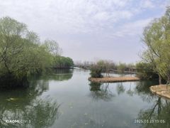 -溱湖国家湿地公园