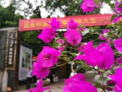 -天怡·鱼工厂(梅溪湖店)