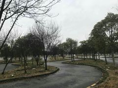 -无忧学车·华茂基地(宝山校区)