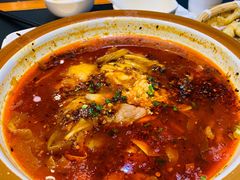 -紫光园·烤鸭·北京菜(团结湖店)