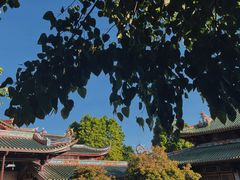 -南普陀寺
