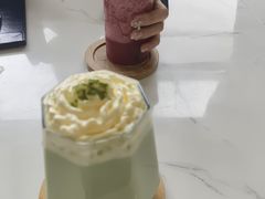 -喵园·猫主题咖啡厅·撸猫·猫咖(国贸店)