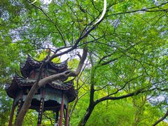 -乌山风景区