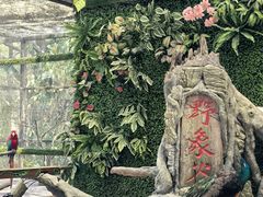 -野象谷景区