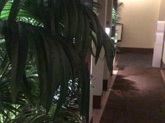 -海乐健康美食·SPA水疗会(水都假日酒店)