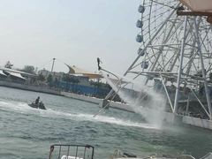 -秦皇岛乐岛海洋王国