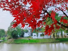 -武汉园博园(武汉自然博物馆)