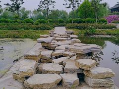 -扬州芍药园(仪征市)