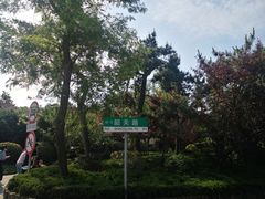 -八大关景区