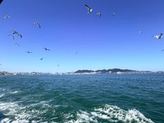 -刘公岛景区