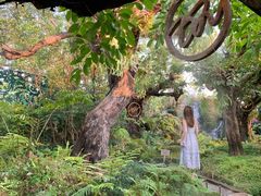 -Chom Cafe and Restaurant