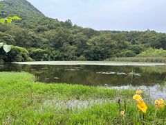 -南京老山国家森林公园