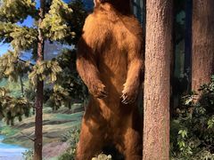 -陕西自然博物馆