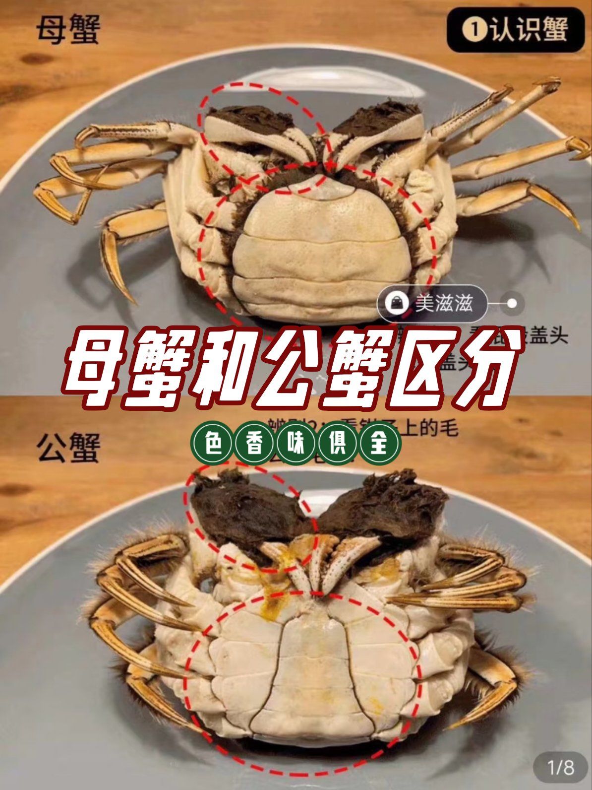 大闸蟹公母不同,蟹膏吃起来口感完全不同