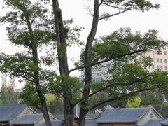 -城墙带状公园-大同古城墙广场停车场