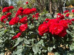 -人民公园(罗湖区)